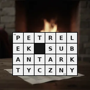 Hasło krzyżówkowe pachyptila salvini gatunek ptaka z rodziny burzykowatych procellariidae - petrelek subantarktyczny – rozwiązanie, synonimy, podpowiedzi i definicje krzyżówkowe